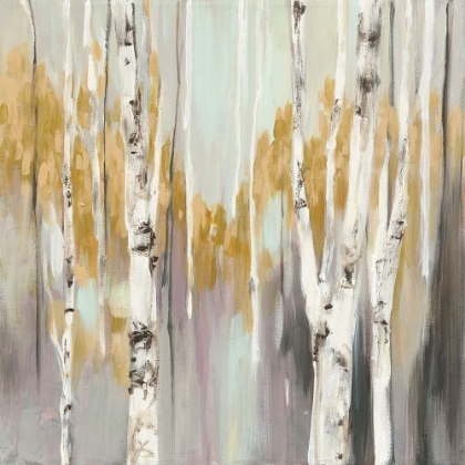 Picture of SILVER BIRCH II