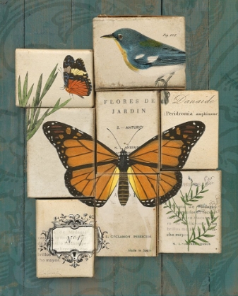 Picture of BIRDS AND BUTTERFLIES II