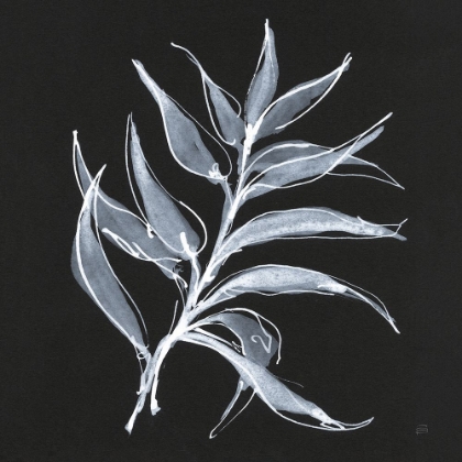 Picture of WHITE FERN I
