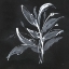 Picture of CHALKBOARD BRANCH I