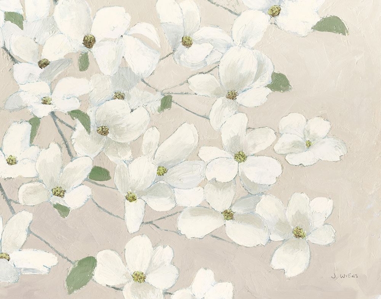 Picture of DOGWOOD DELIGHT CREAM