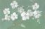 Picture of BLOSSOMS ON SAGE