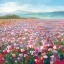 Picture of HEADLAND WILDFLOWERS
