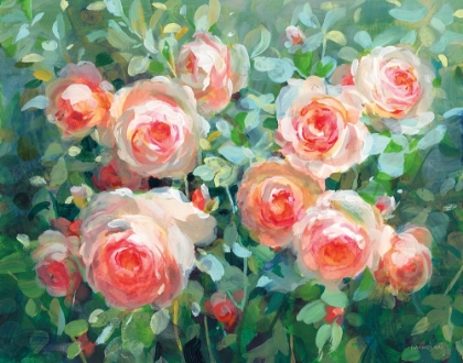 Picture of ENGLISH ROSES