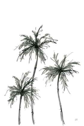 Picture of SHADOW PALMS I