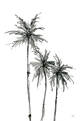 Picture of SHADOW PALMS II