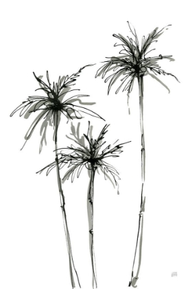 Picture of SHADOW PALMS IV