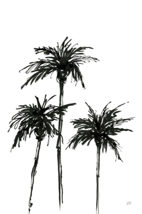 Picture of DARK PALMS I