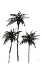 Picture of DARK PALMS I