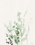 Picture of GRASSES II ON LINEN