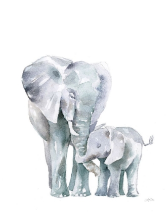 Picture of MAMA ELEPHANT ON WHITE