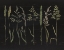 Picture of HERBAL BOTANICAL VII BLACK WOOD NO WORDS