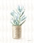 Picture of DESERT GREENHOUSE XVII