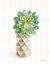 Picture of DESERT GREENHOUSE XVIII