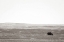 Picture of BADLANDS GUARD