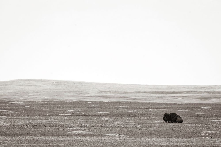 Picture of BADLANDS GUARD