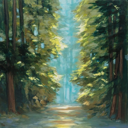 Picture of SUNLIT FOREST