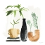 Picture of WEEKEND PLANTS III