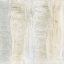 Picture of TONED TEXTURE I