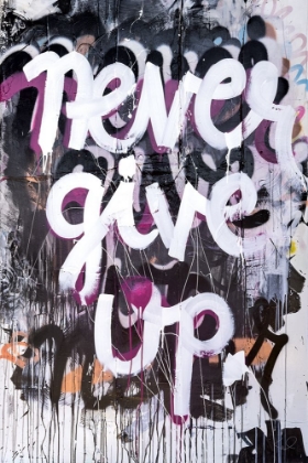 Picture of NEVER GIVE UP