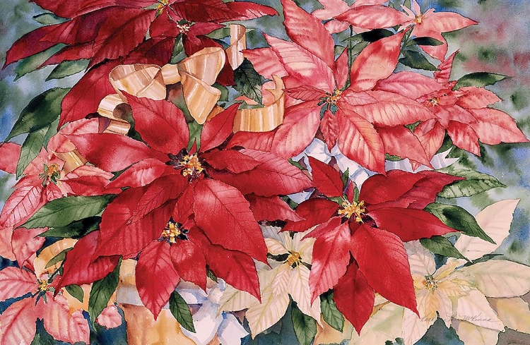 Picture of POINSETTIA