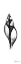 Picture of TULIP SHELL