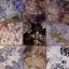 Picture of VELVET PATCH I