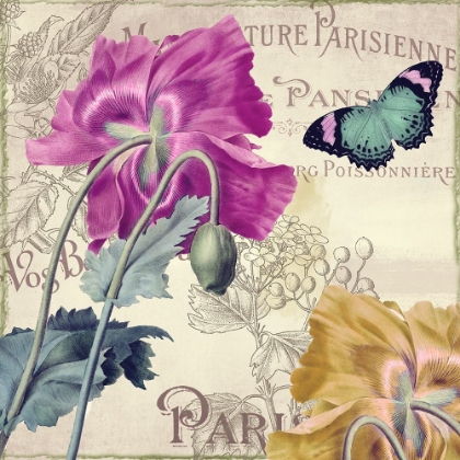 Picture of PETALS OF PARIS III