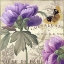Picture of PETALS OF PARIS IV