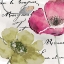 Picture of FLEURS DE FRANCE IV