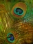 Picture of PEACOCK CANDY II