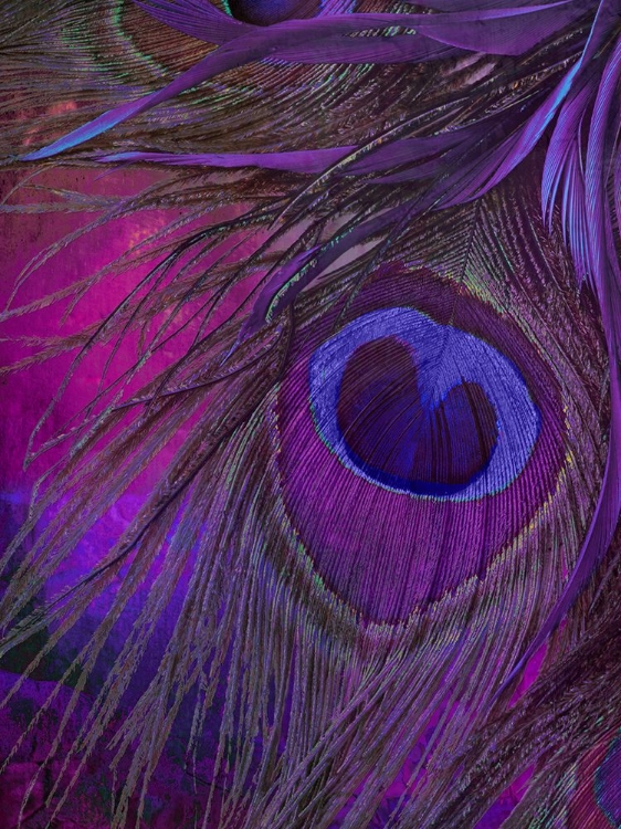 Picture of PEACOCK CANDY IV