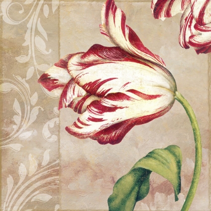 Picture of PEPPERMINT TULIPS II