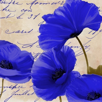 Picture of COQUELICOTS BLEUES I