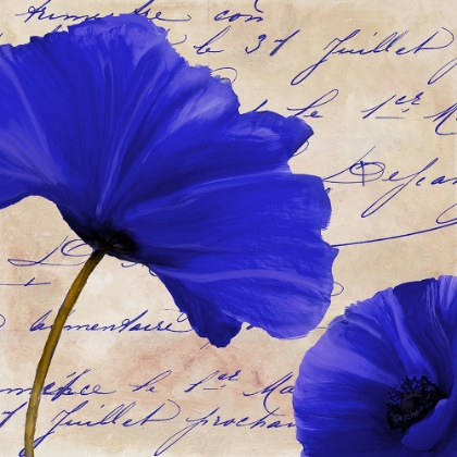 Picture of COQUELICOTS BLEUES II