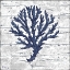 Picture of CAPE CORAL III - WHITE