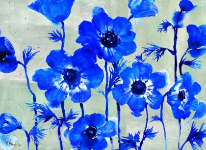 Picture of AMALFI ANEMONES - BLUE