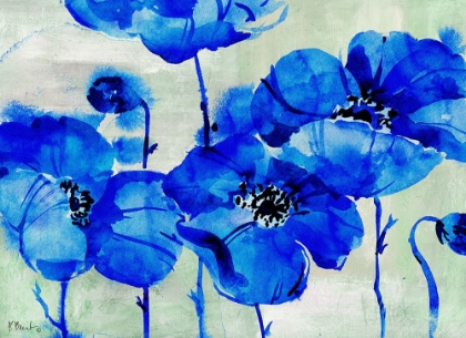 Picture of AMALFI POPPIES - BLUE