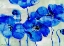 Picture of AMALFI POPPIES - BLUE