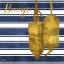 Picture of CAPE COD - II - GOLD