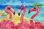 Picture of FLAMINGO FRIENDS AND GUY