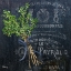 Picture of PROVINCIAL HERBS I