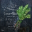 Picture of PROVINCIAL HERBS IV