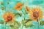 Picture of ARIANNA SUNFLOWERS HORIZONTAL