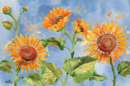 Picture of ARIANNA SUNFLOWERS HORIZONTAL - SKY BLUE