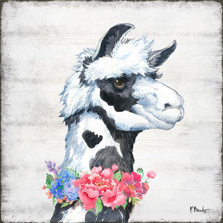 Picture of LLAMA BLOOM I