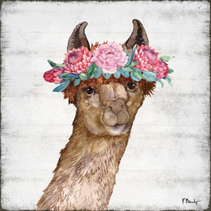 Picture of LLAMA BLOOM II