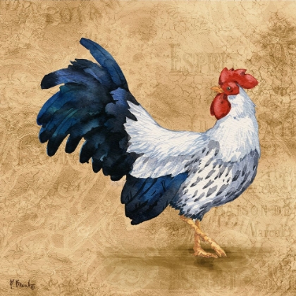Picture of FRENCH COUNTRYSIDE ROOSTER IV