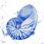Picture of GRENADA SHELLS I
