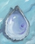 Picture of OYSTER CLOSE UP XIII - AQUA